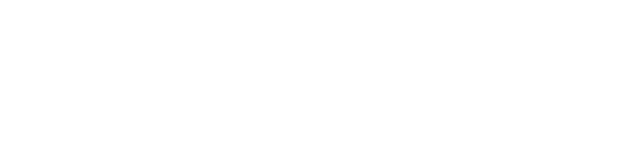 apixa group